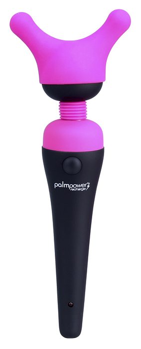 Palm Body Accessories 2 Silicone Heads