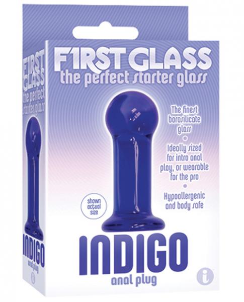 The 9's First Class Anal Plug Indigo
