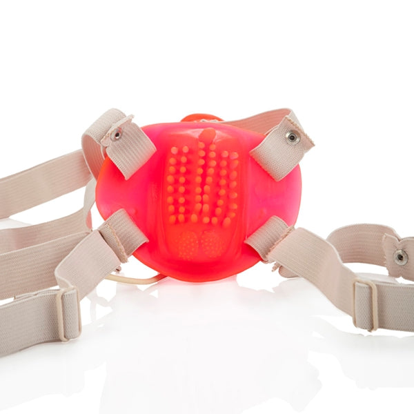 Bettys Jelly Bumble Bee