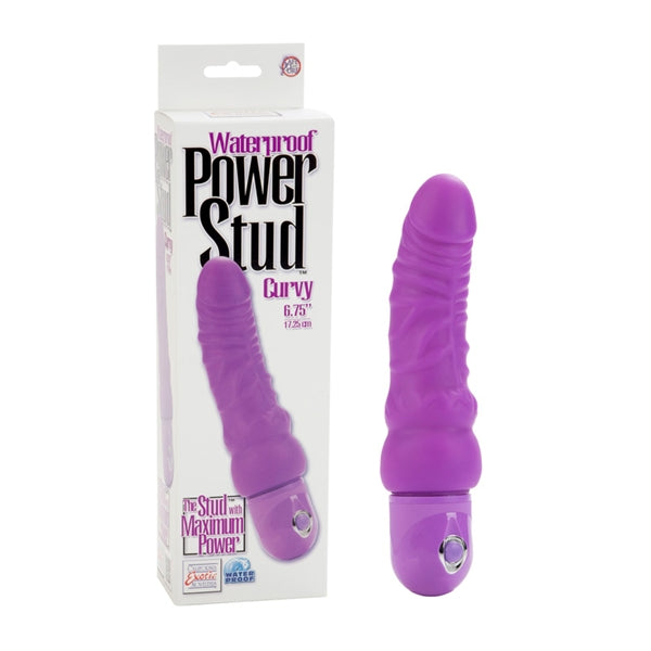 Power Stud Curvy W-p Purple