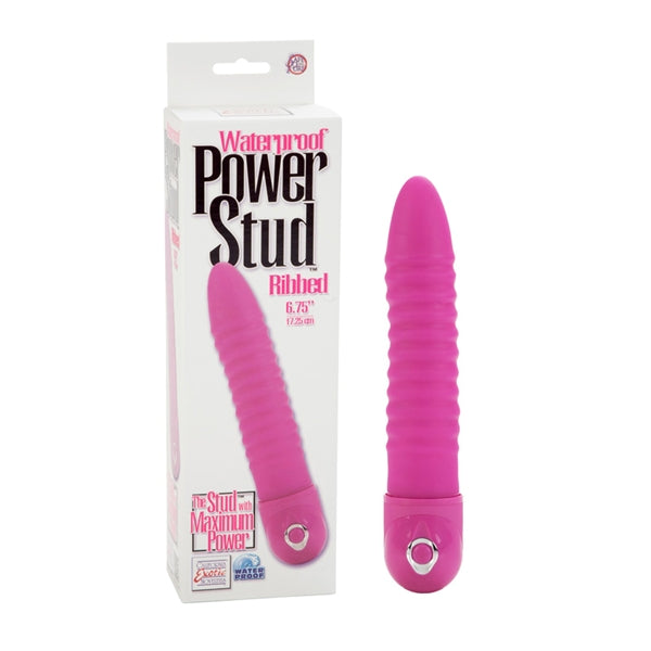 Power Stud Ribbed W-p Pink