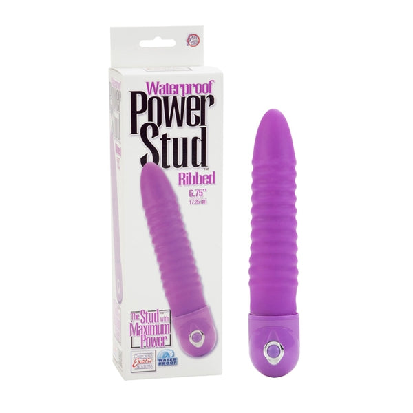 Power Stud Ribbed W-p Purple