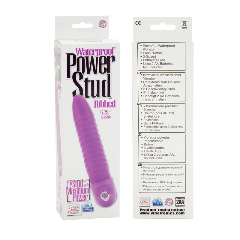 Power Stud Ribbed W-p Purple