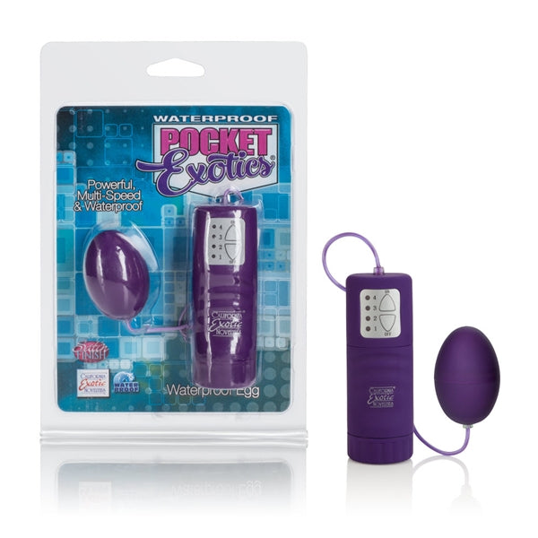 Pocket Exotics Egg W-p