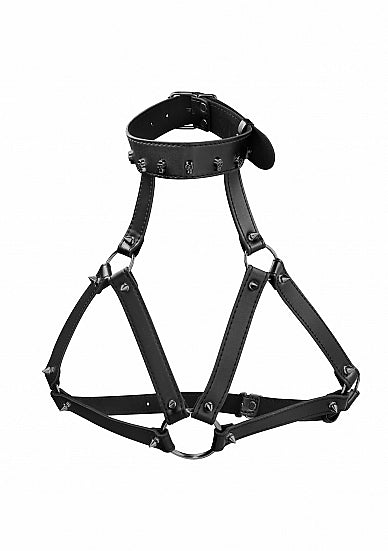 Ouch! Skulls & Bones Harness W- Skulls & Spikes Black
